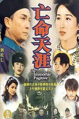 亡命天涯 亡命天涯