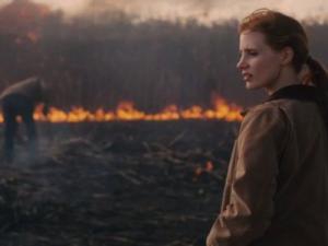 《猎杀本·拉登》女星Jessica Chastain将加盟漫威出演Captain Marvel? 《猎杀本·拉登》女星Jessica Chastain将加盟漫威出演Captain Marvel?