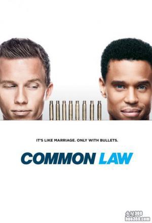 USA台取消《执法双雄 Common Law》 USA台取消《执法双雄 Common Law》