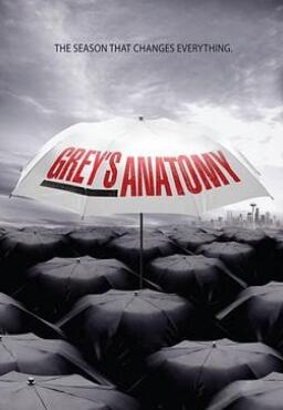 《实习医生格蕾 第六季》全集/Grey’s Anatomy Season 6 《实习医生格蕾 第六季》全集/Grey’s Anatomy Season 6