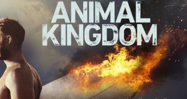 野兽家族第一至二季 Animal Kingdom 全集迅雷下载 野兽家族第一至二季 Animal Kingdom 全集迅雷下载