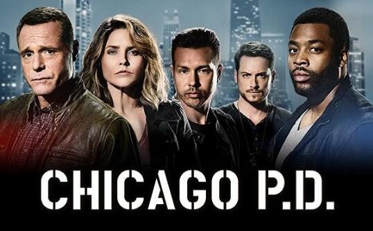 芝加哥警署第一季 Chicago PD 全集迅雷下载 芝加哥警署第一季 Chicago PD 全集迅雷下载