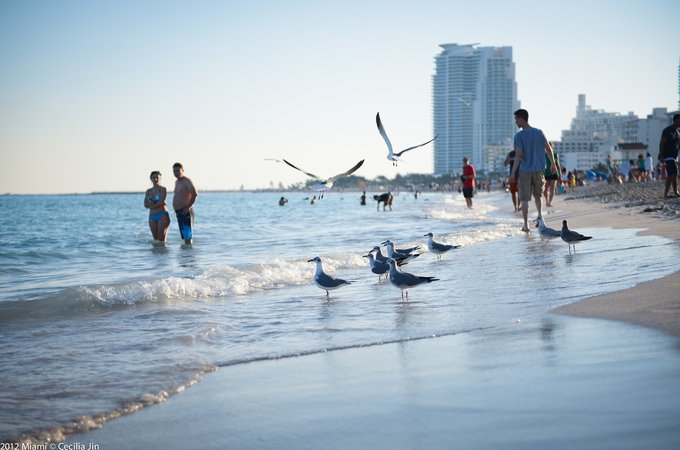 迈阿密 Miami 旅游攻略 迈阿密 Miami 旅游攻略