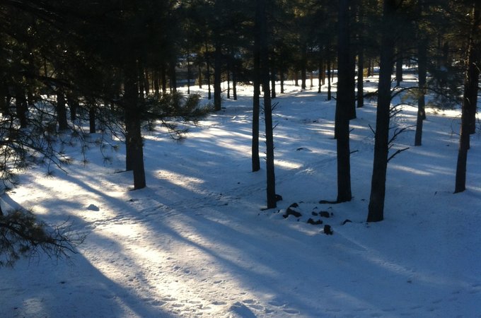 弗拉格斯塔夫 Flagstaff 旅游攻略 弗拉格斯塔夫 Flagstaff 旅游攻略