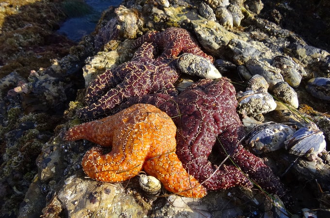 橙县 Orange County旅游攻略 橙县 Orange County旅游攻略
